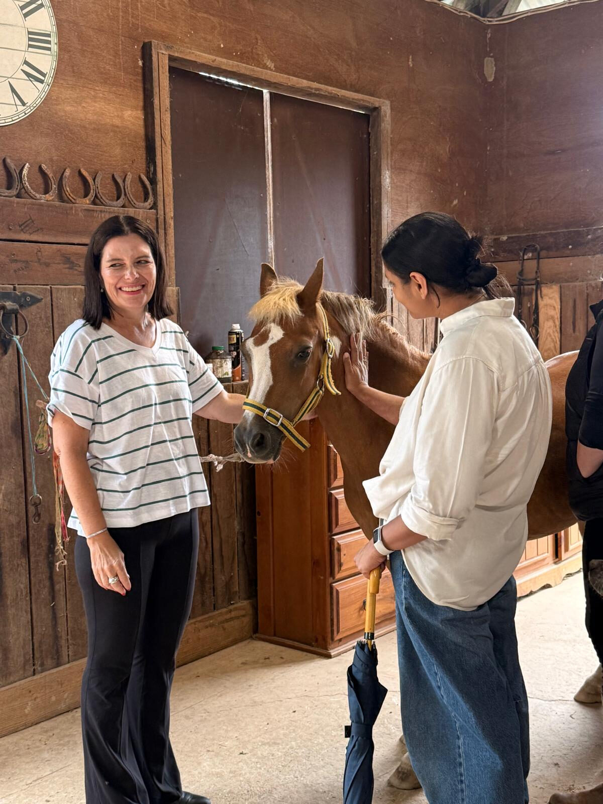 Working with a horse at The Equine Leadership Experience